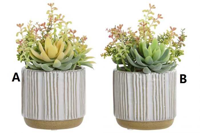 PLANTA PP GRES 14X14X21 2 SURT.