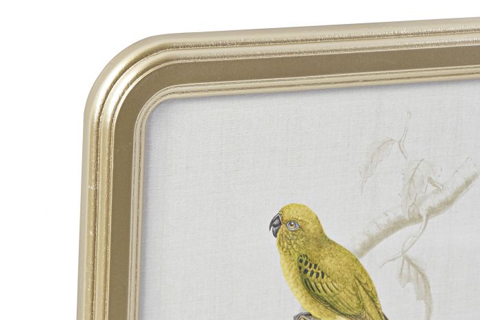 CUADRO CRISTAL MDF 30X2X40 COTORRAS 4 MOD - Imagen 2