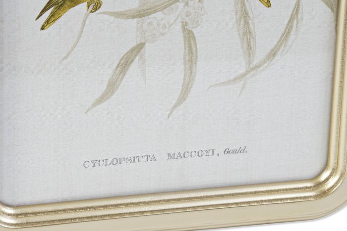 CUADRO CRISTAL MDF 30X2X40 COTORRAS 4 MOD - Imagen 3