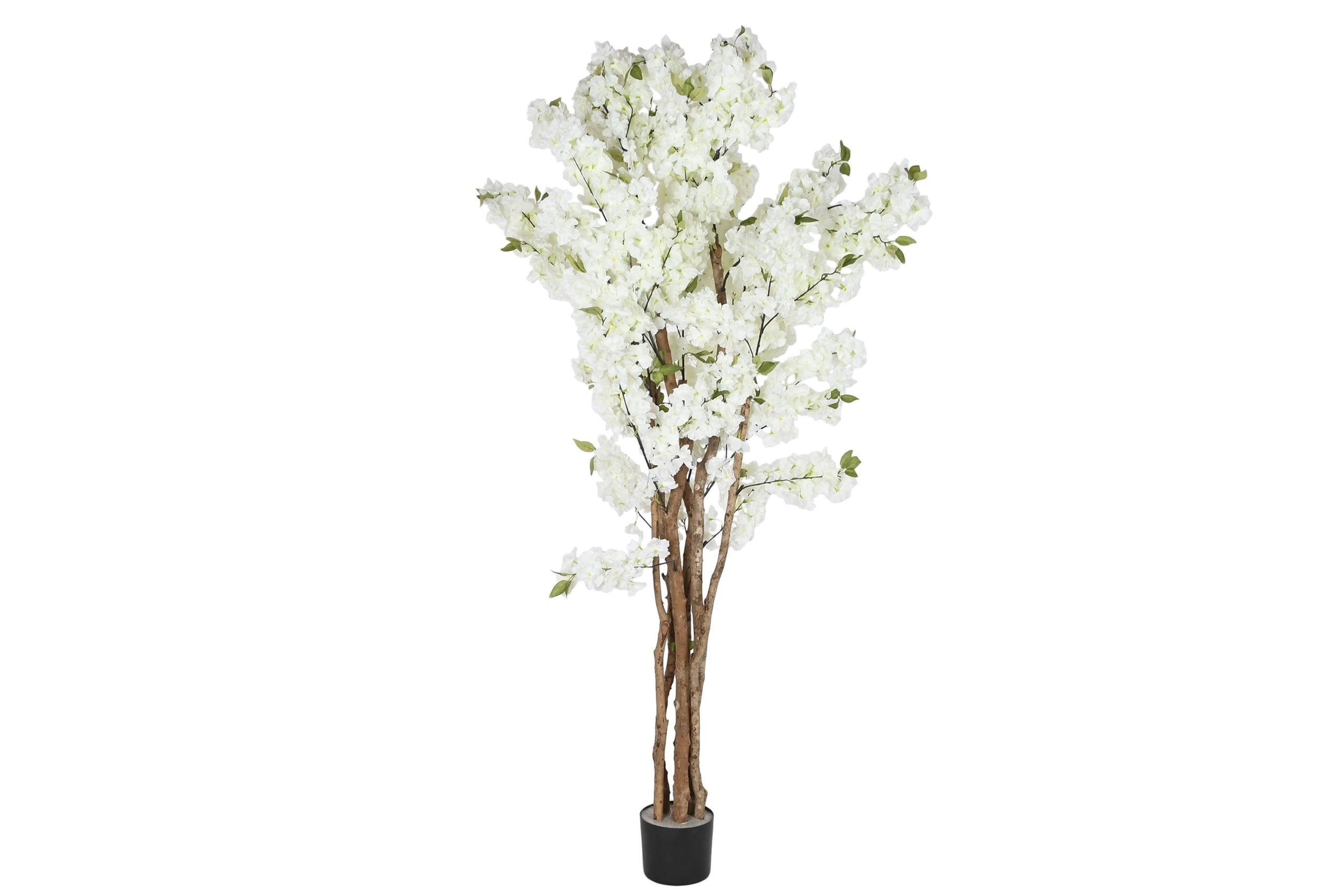 arbol almendro blanco 80x80x200cm