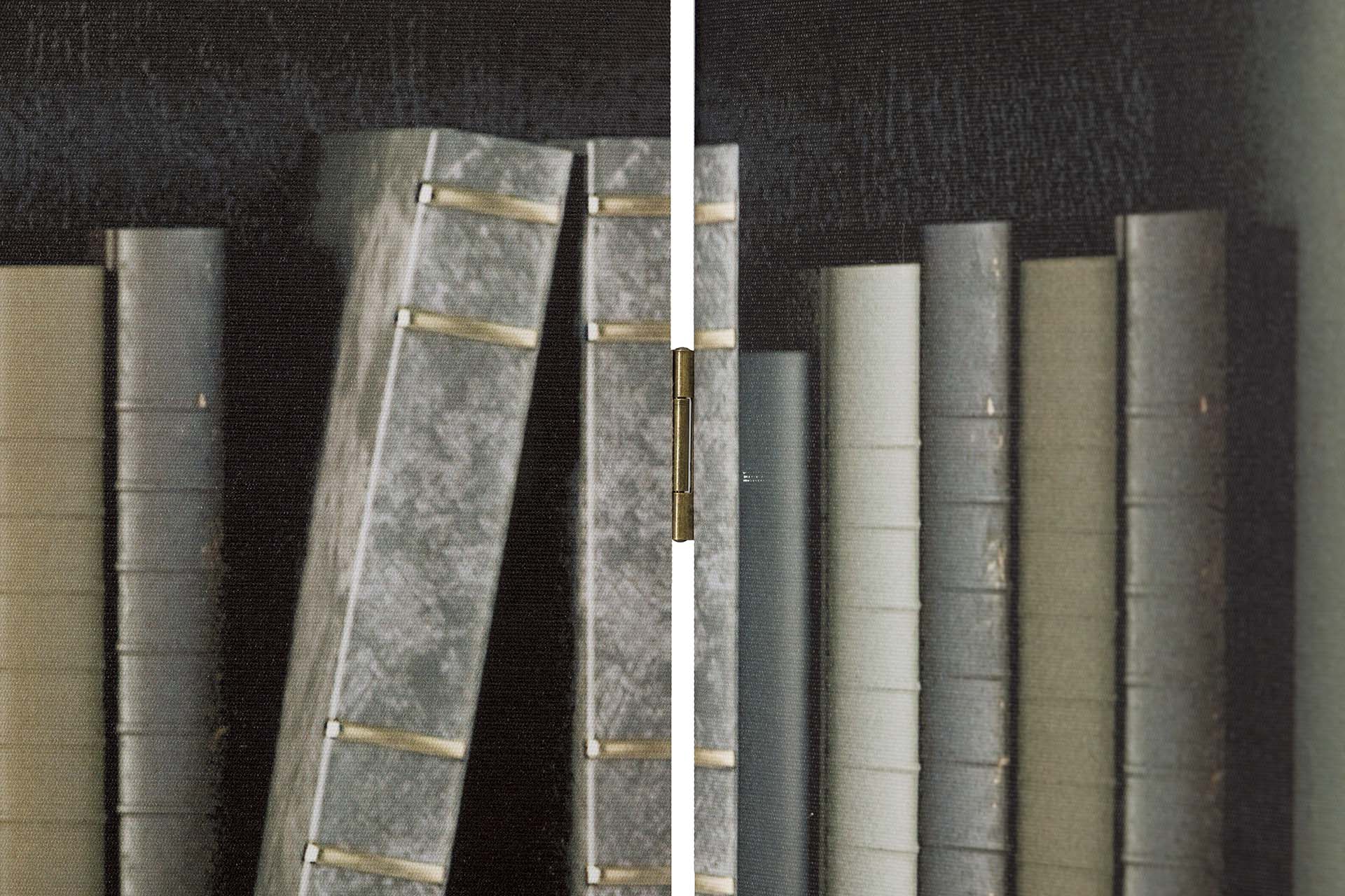 BIOMBO CANVA BIBLIOTECA 120x3x180 CM - Imagen 5