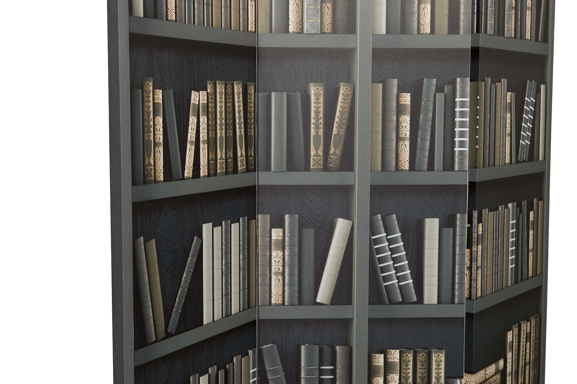 BIOMBO CANVA BIBLIOTECA 120x3x180 CM - Imagen 4