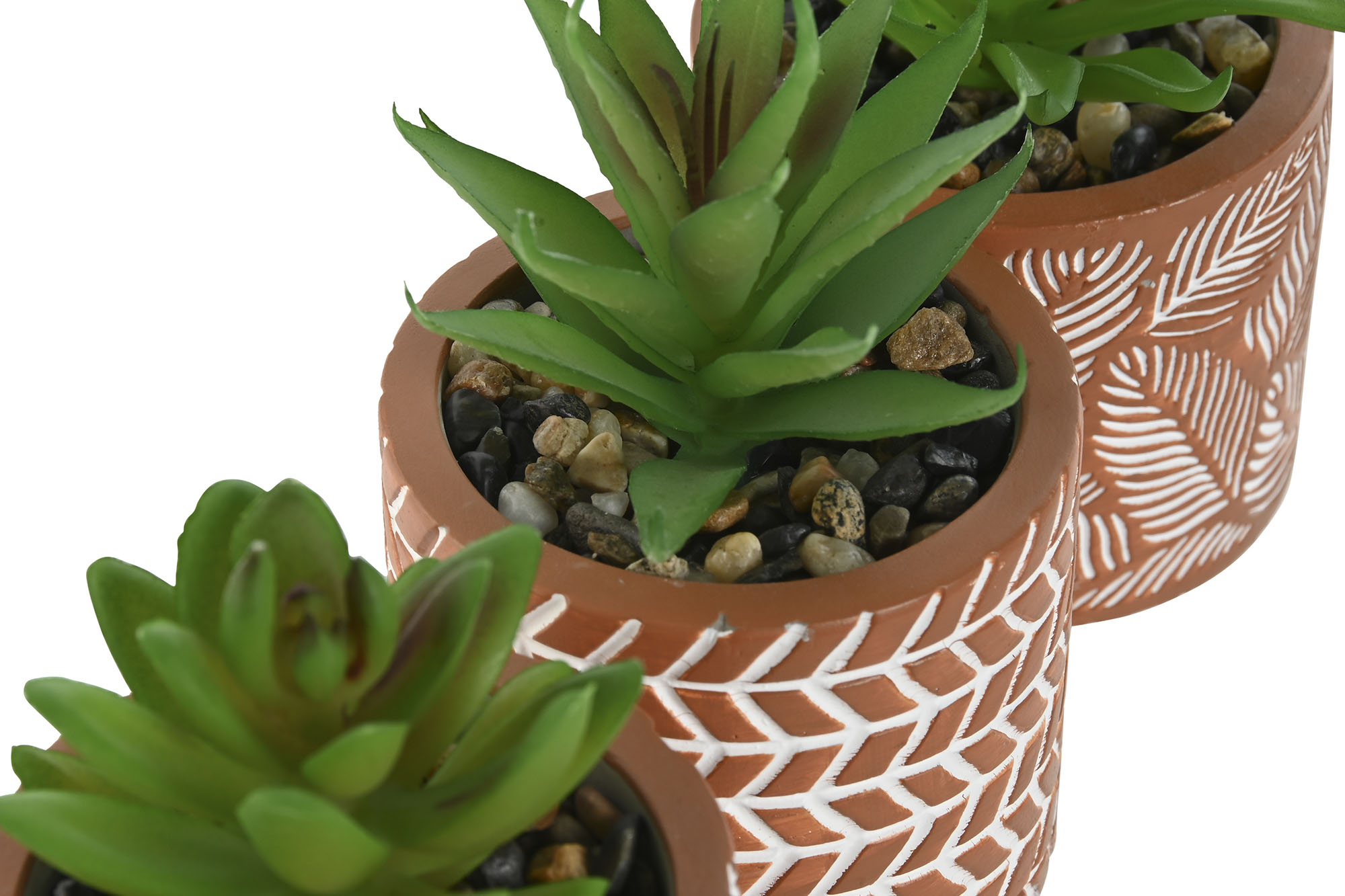 pack de 3 cactus en maceta de cemento i patas de madera - Imagen 3
