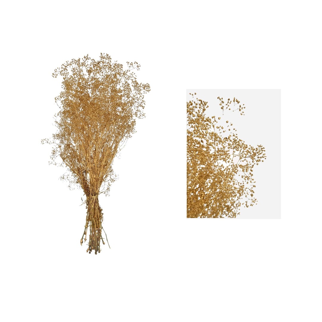 gypshophila preservada 40/50cms